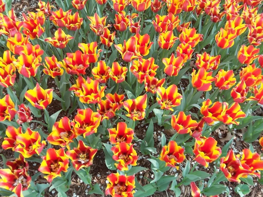 Day Trip from Shawnee, KS Lake Shawnee at Topeka